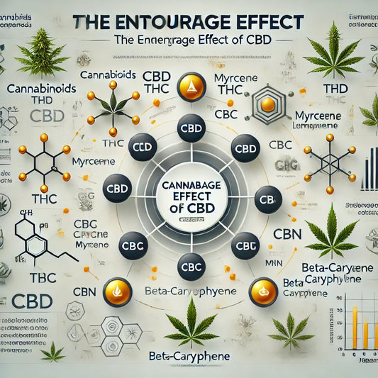 Unlocking the Power of CBD: The Entourage Effect Explained