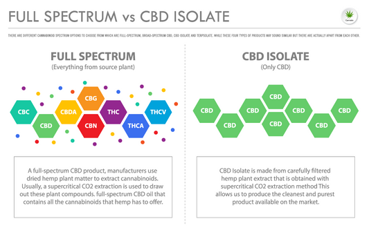 WHAT IS FULL SPECTRUM CBD?