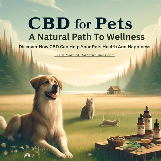 Navigating Natural Wellness for Your Furry Friends