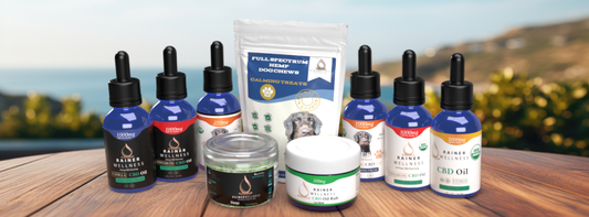 6 Essential Tips for Enhancing the Effectiveness of Your CBD Experience