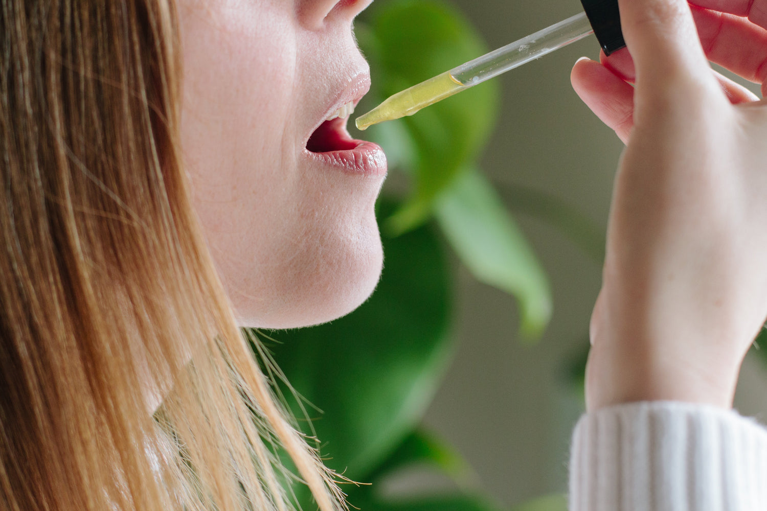 CBD Tinctures