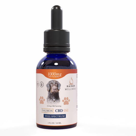 Rainer Wellness 1000mg CBD Dog Tincture with Salmon Oil