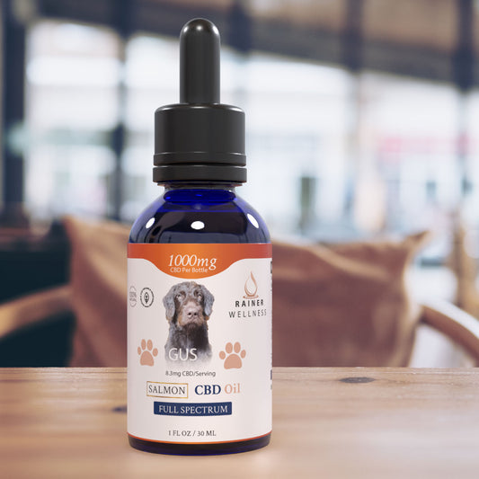Rainer Wellness 1000mg CBD Dog Tincture with Salmon Oil